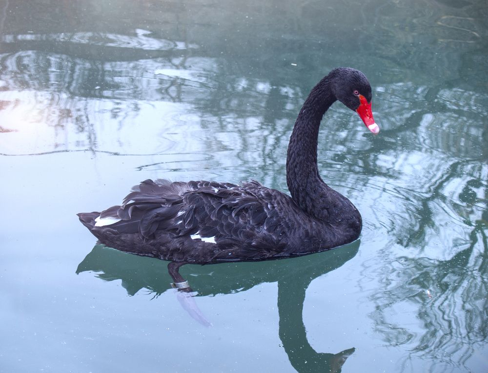 Photograph by Tatevik Tananyan