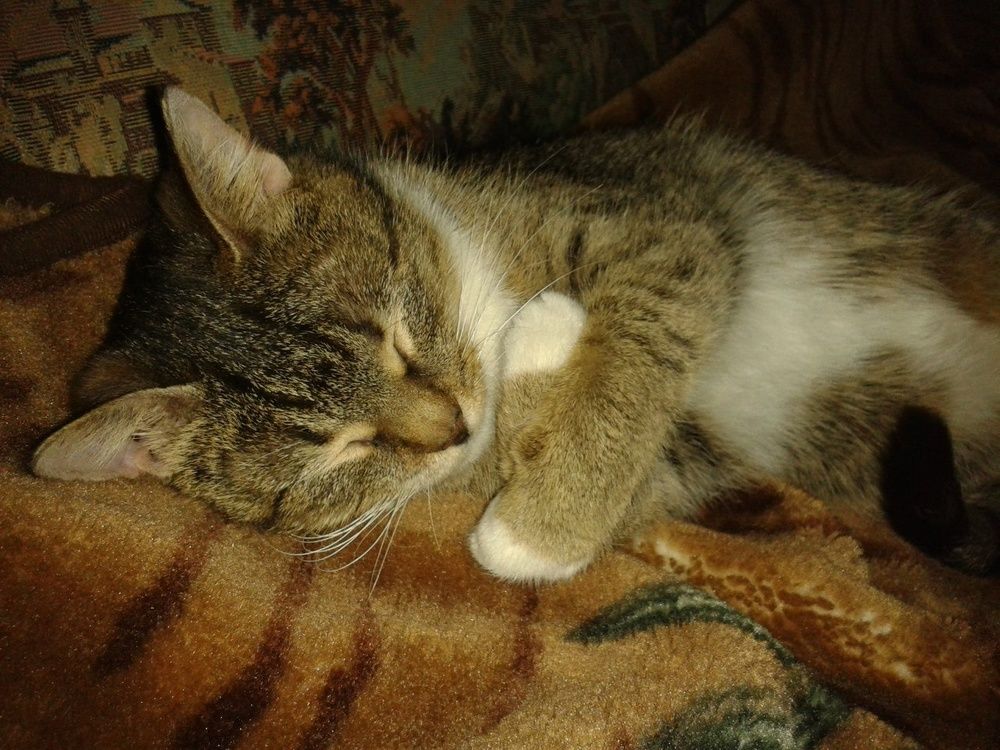 Фотография автора Ольга Малкова