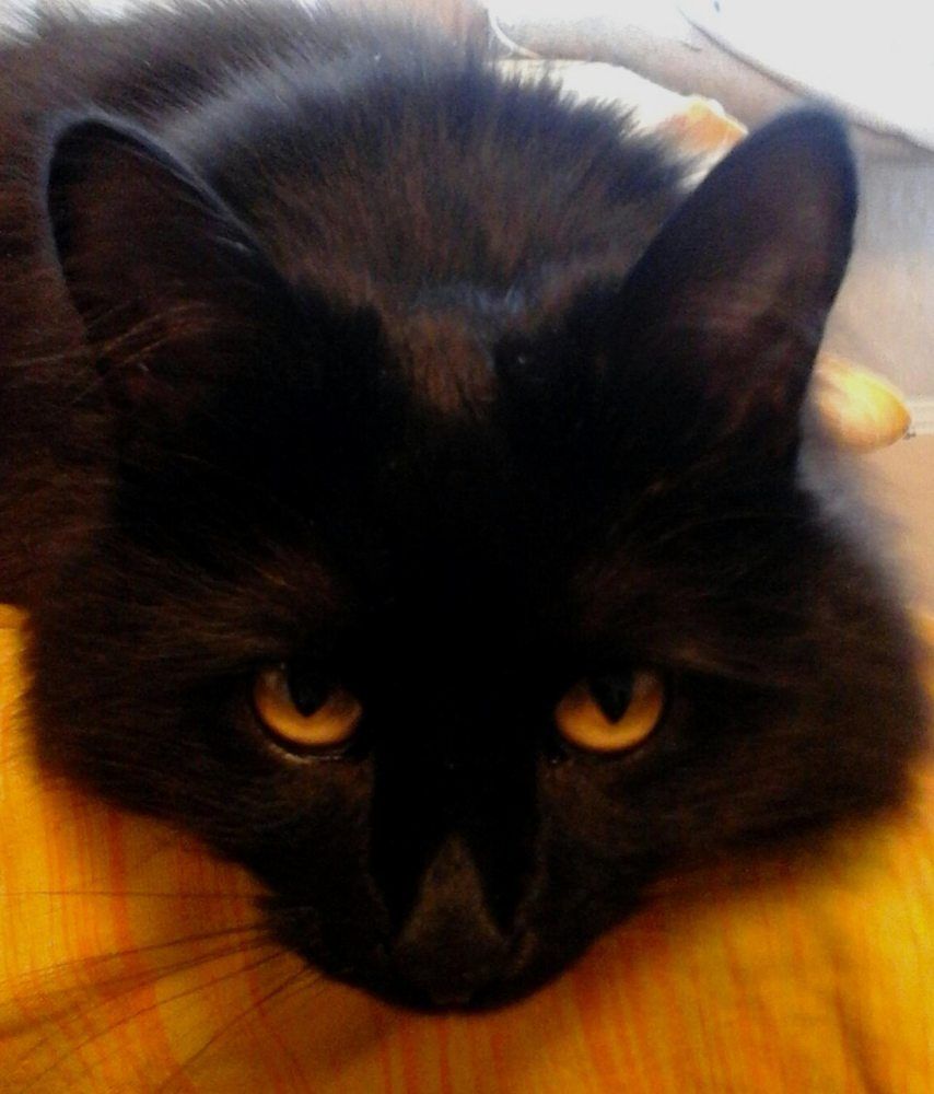 Задумчивость