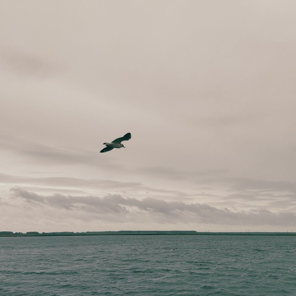 Photograph by Саттарова Ирина