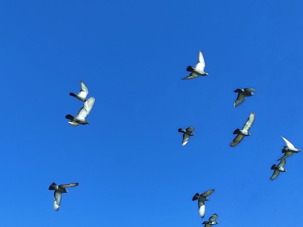 Photograph by Саттарова Ирина