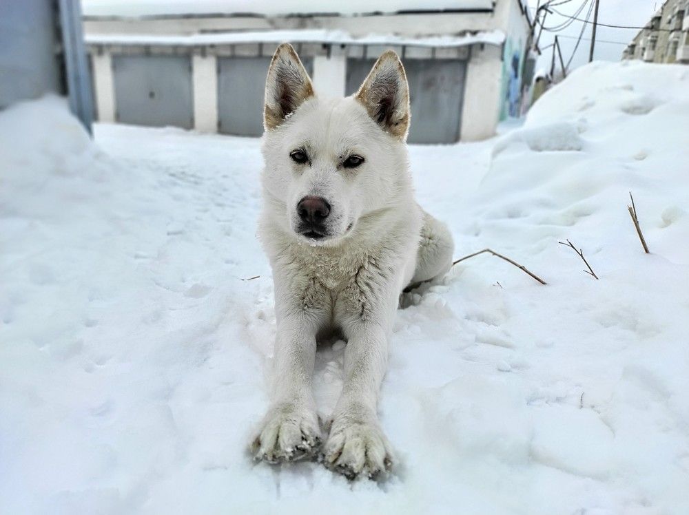 Photograph by Саттарова Ирина