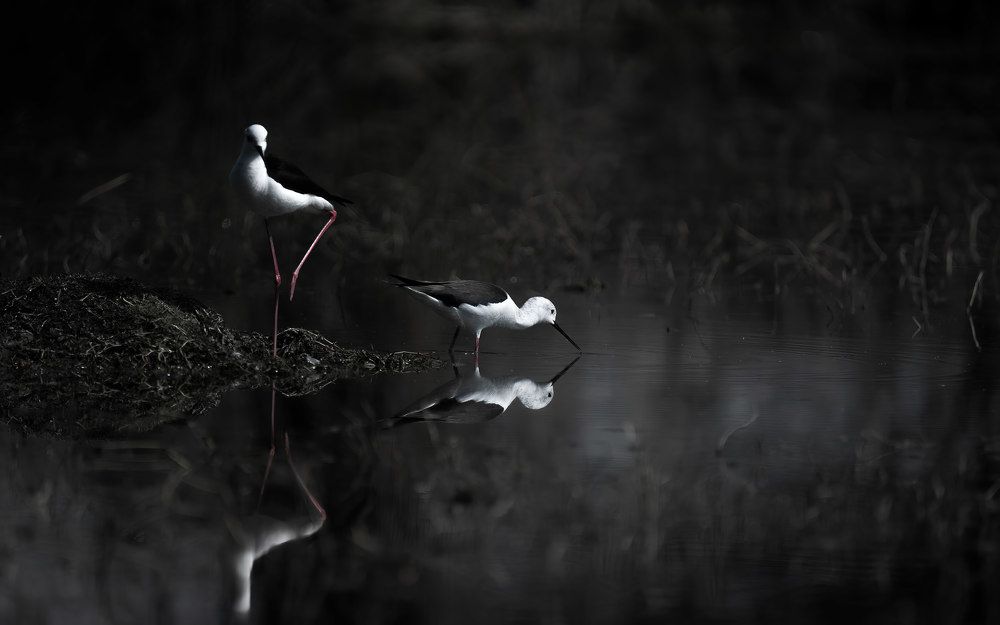 Photograph by MAYANK VERMA