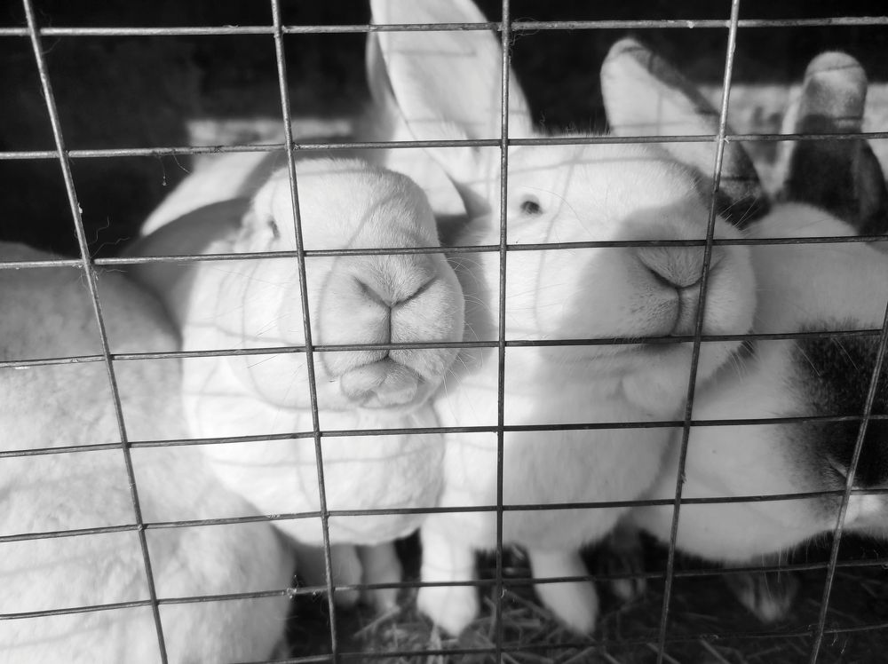 Photograph by Саттарова Ирина