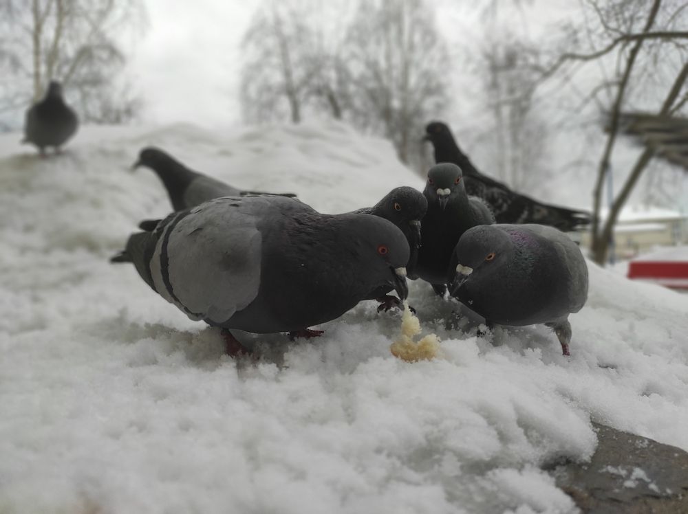 Photograph by Саттарова Ирина