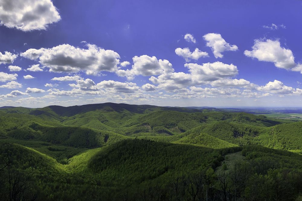 Photograph by Alexander Kubik