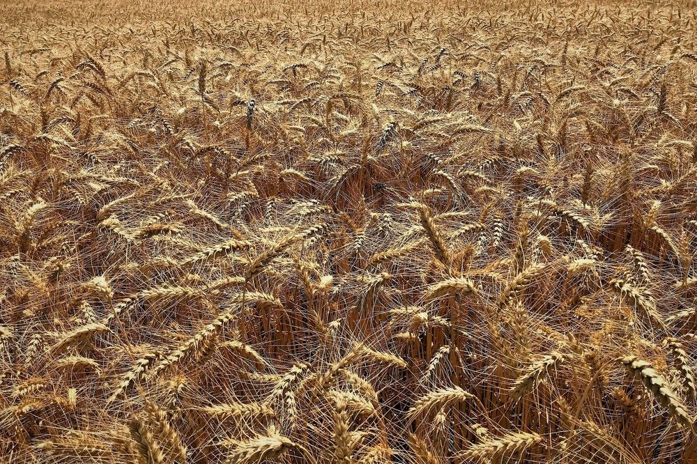 Photograph by Alexander Kubik