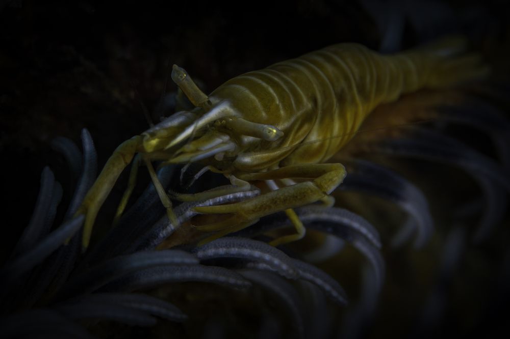 Photograph by Антонина