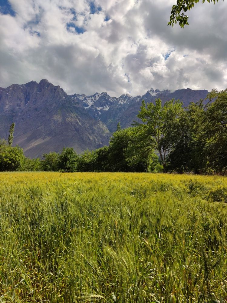 Photograph by Abdullah Tariq