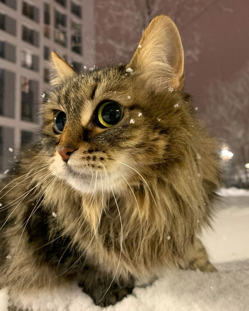 Photograph by Екатерина Меньшакова