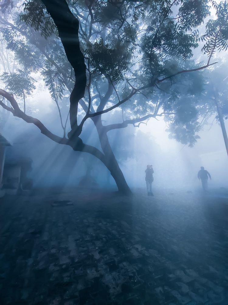 Photograph by Priya Ojha