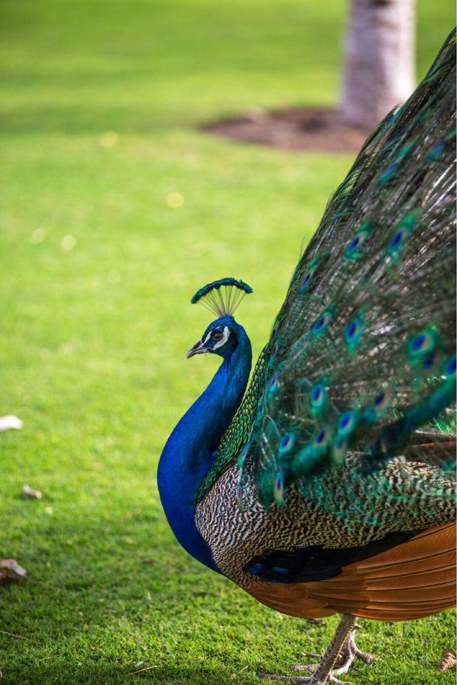 Photograph by Chaitra Arjunpuri