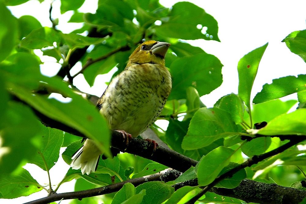 Photograph by Дмитрий Розенбаум