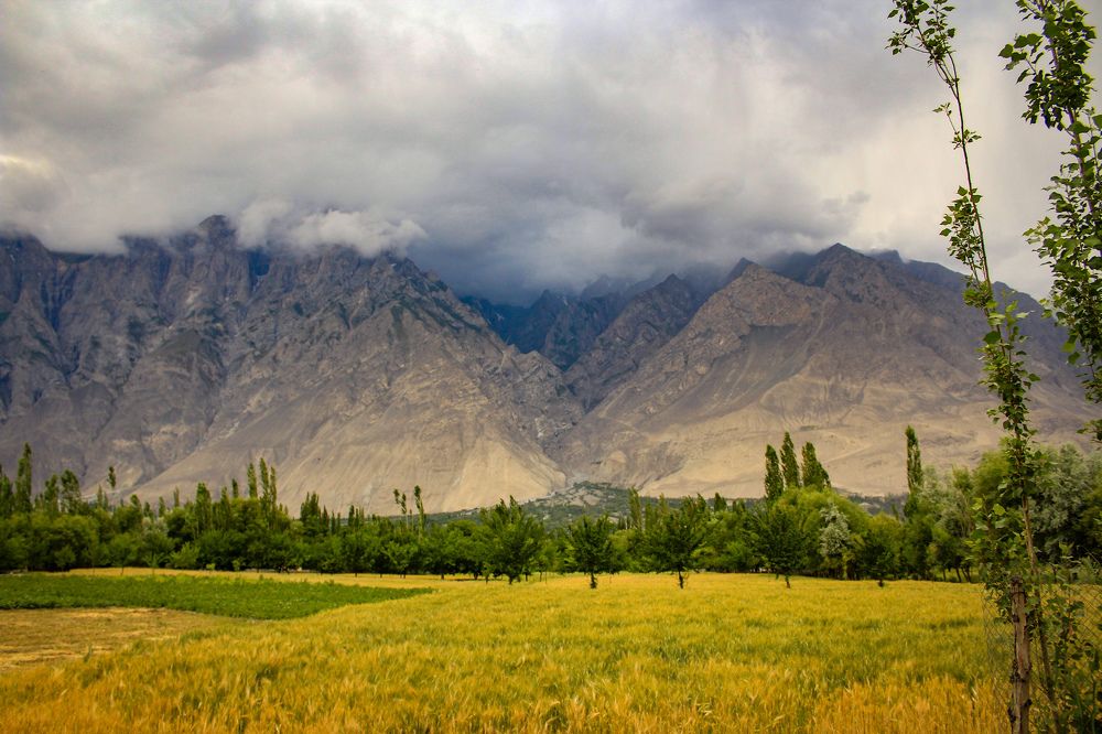 Photograph by Abdullah Tariq