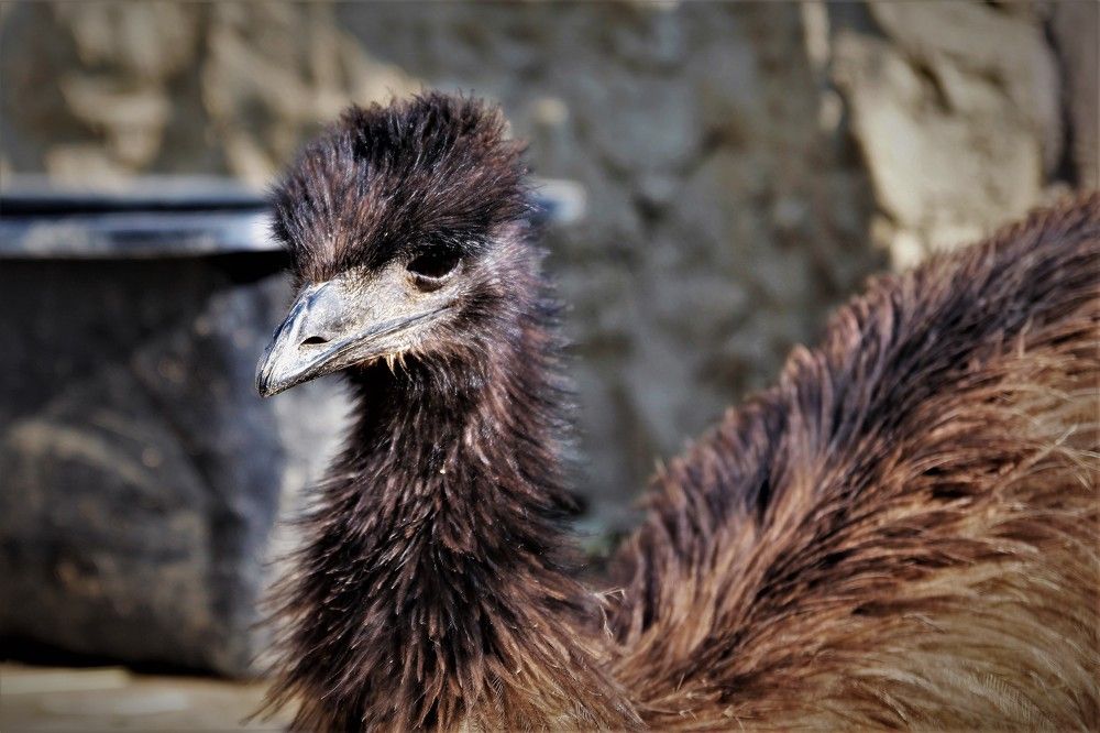 Photograph by Alexander Kubik