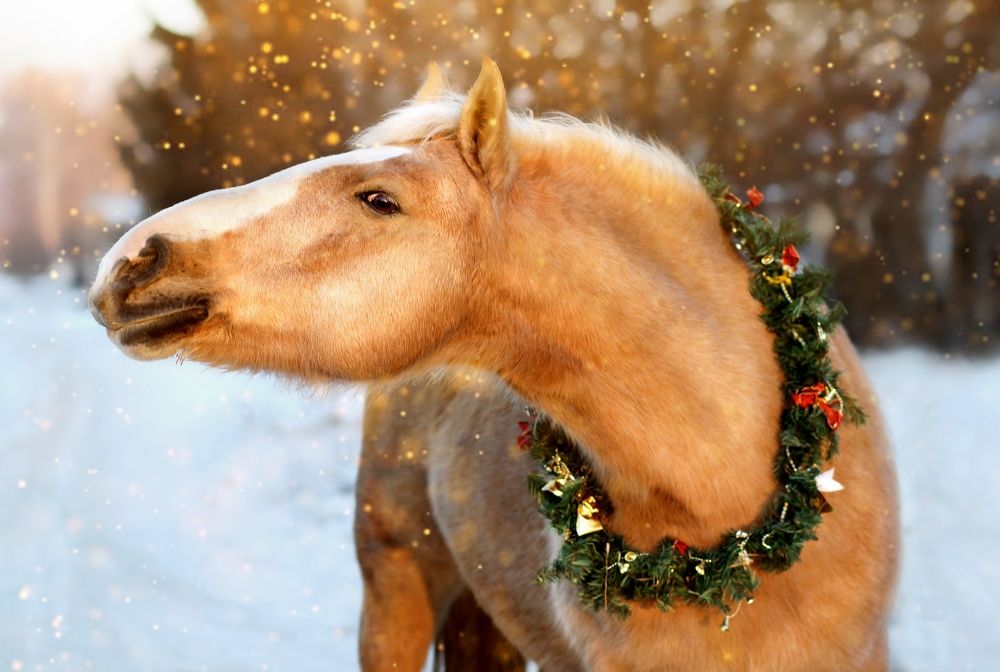 Photograph by Галина Щурова