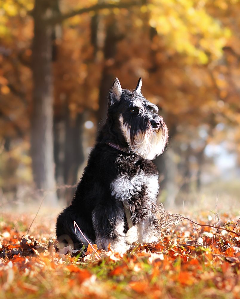 Photograph by Галина Щурова