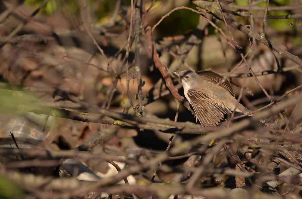 Photograph by Наталья