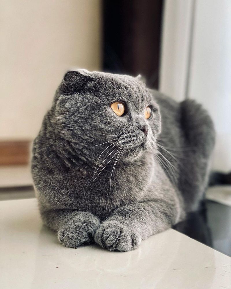 Фотография автора Sasani Behrouz