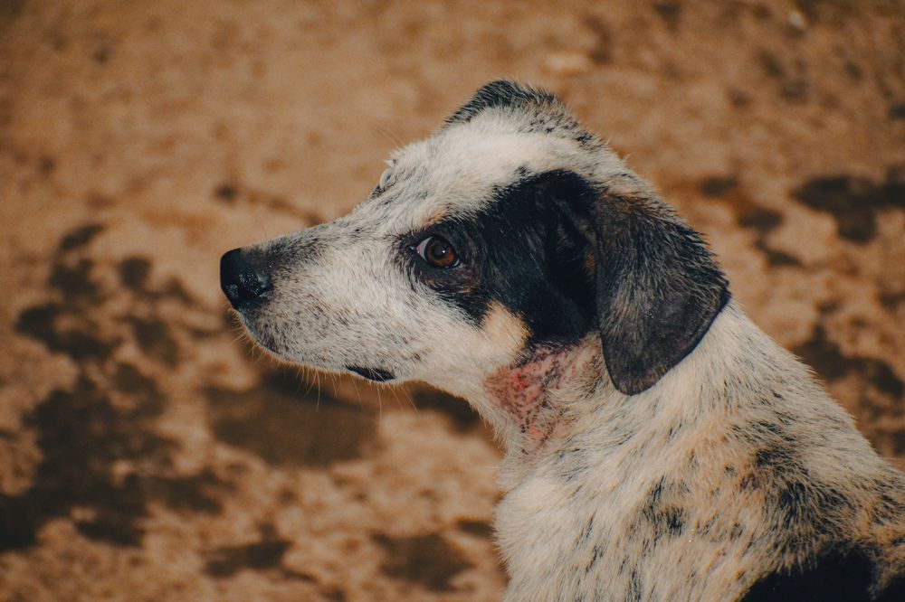 Photograph by Yannah Tekwie