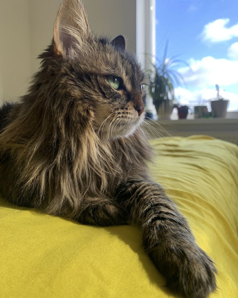 Photograph by Екатерина Меньшакова