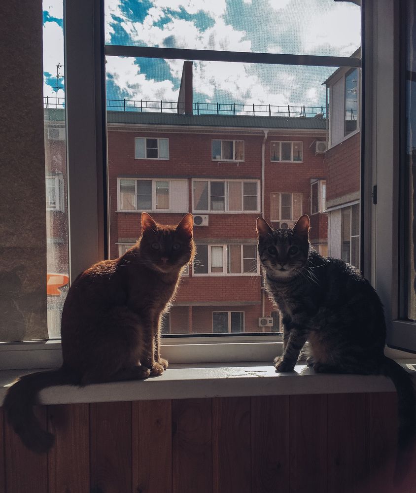 Photograph by Ольга Цветцих