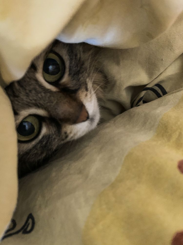 Photograph by Екатерина Меньшакова