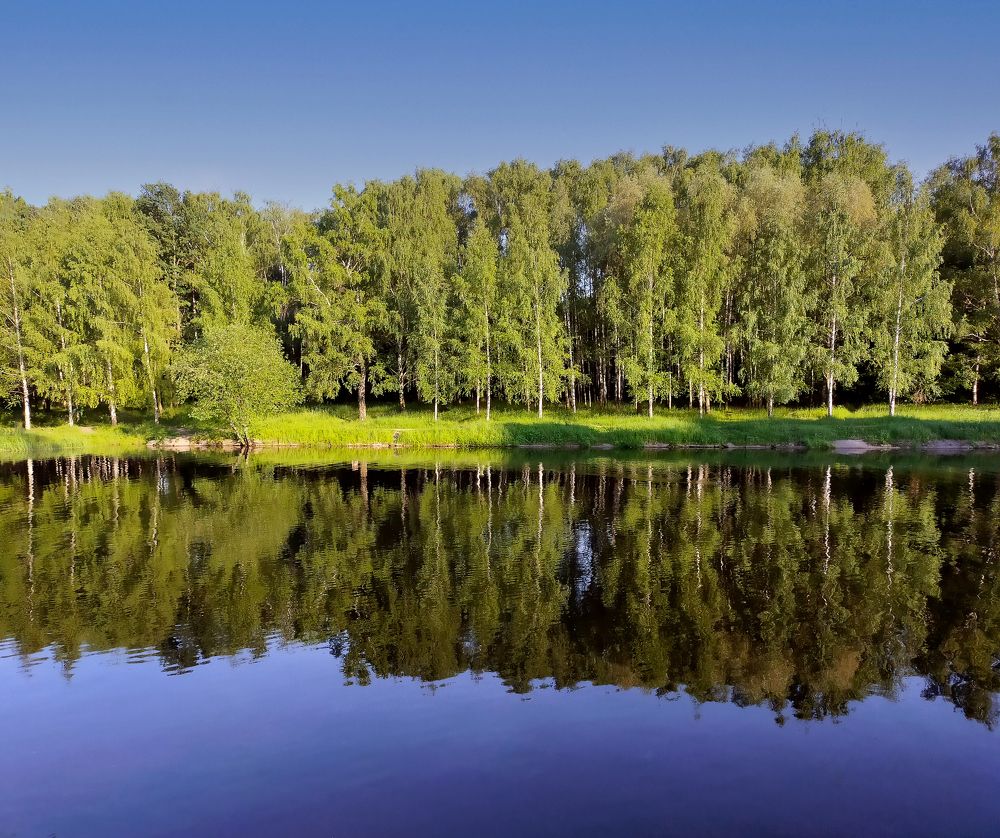 Photograph by Светлана Михеева