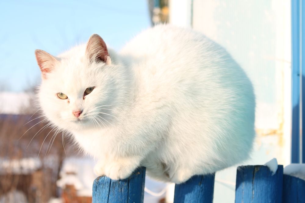 Photograph by Svetlana
