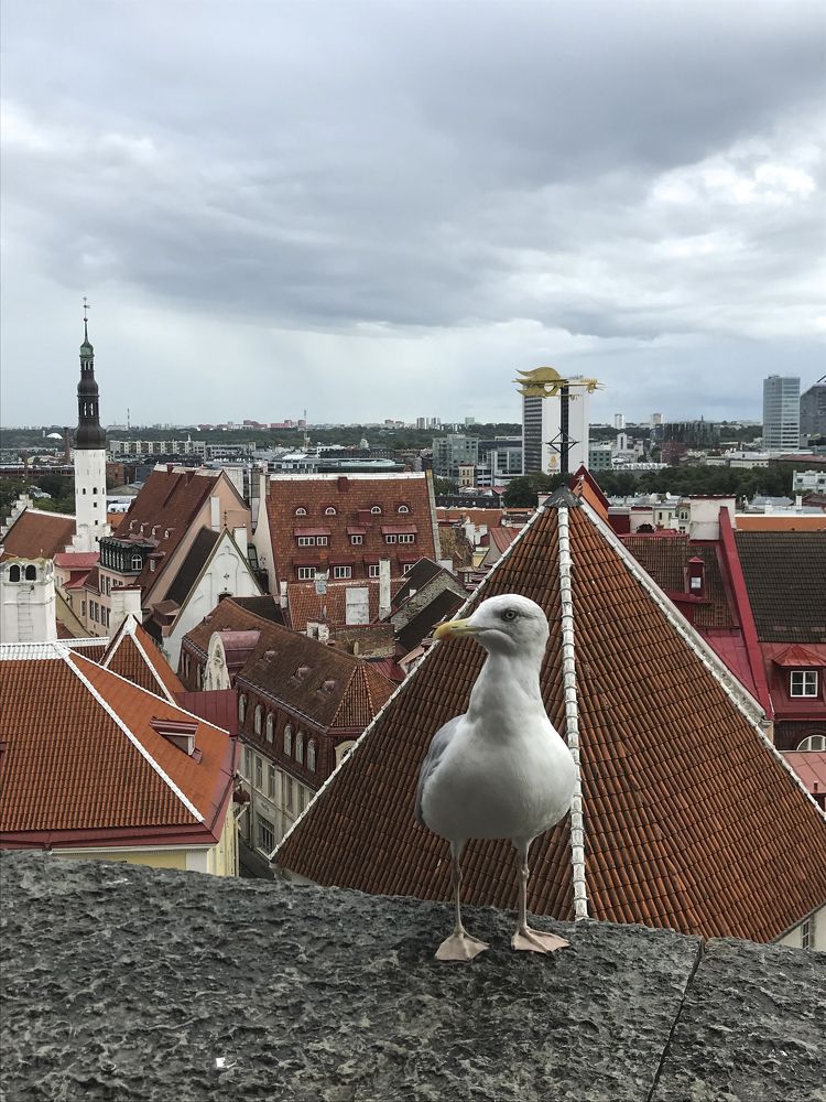 Photograph by Екатерина Меньшакова