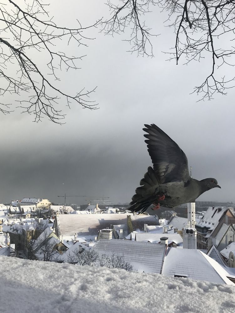 Photograph by Екатерина Меньшакова