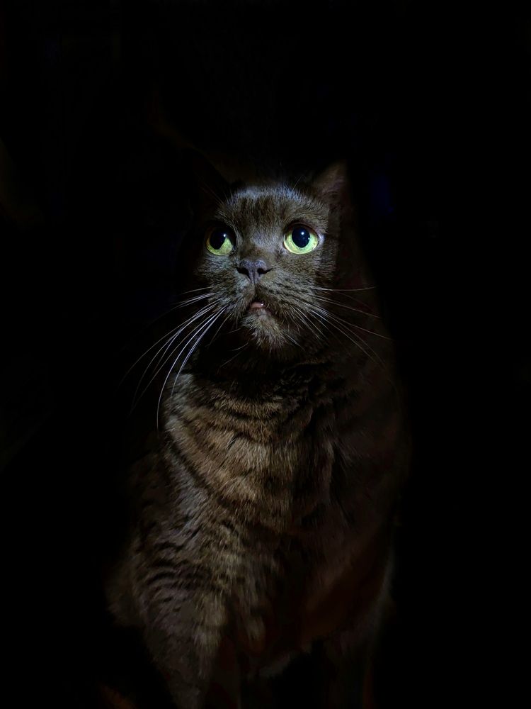 Photograph by Olga Royanova