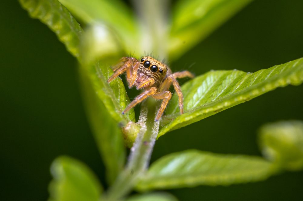 Photograph by debasish pal