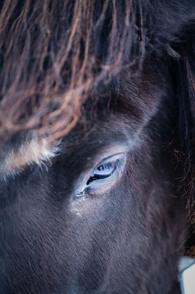 Photograph by Carlo Demicheli