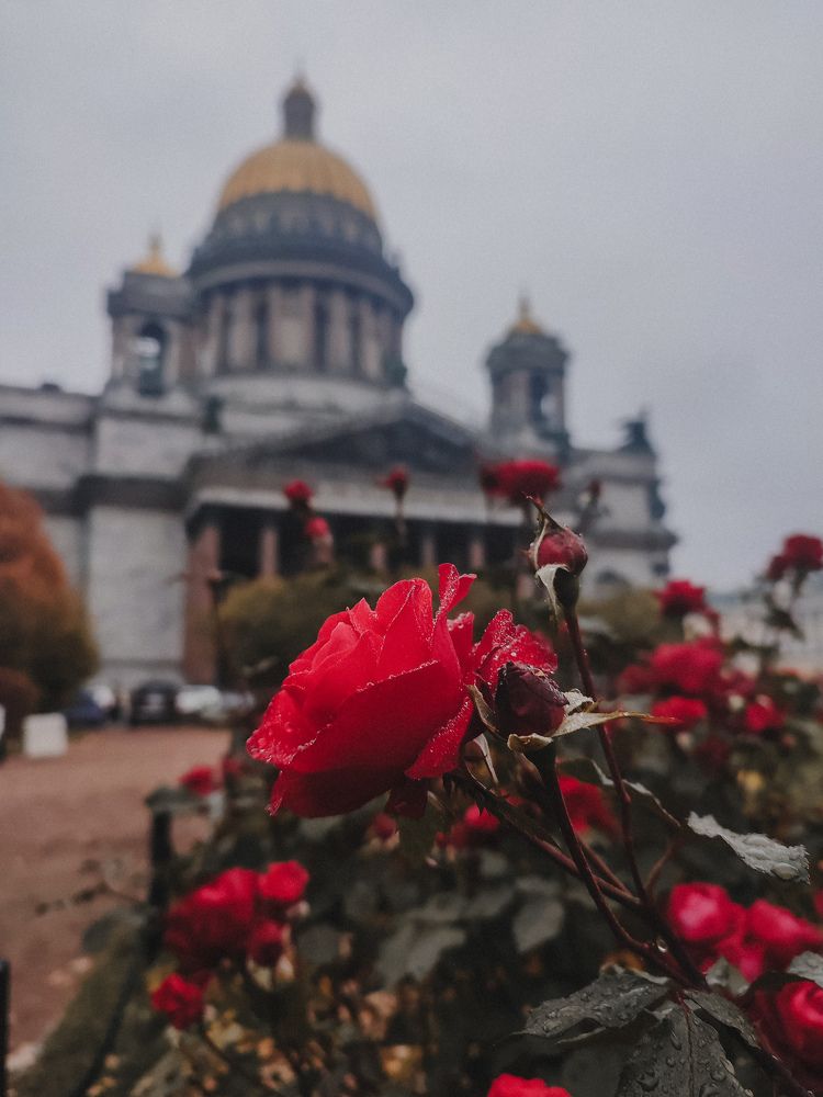 Photograph by Ирина Тушева