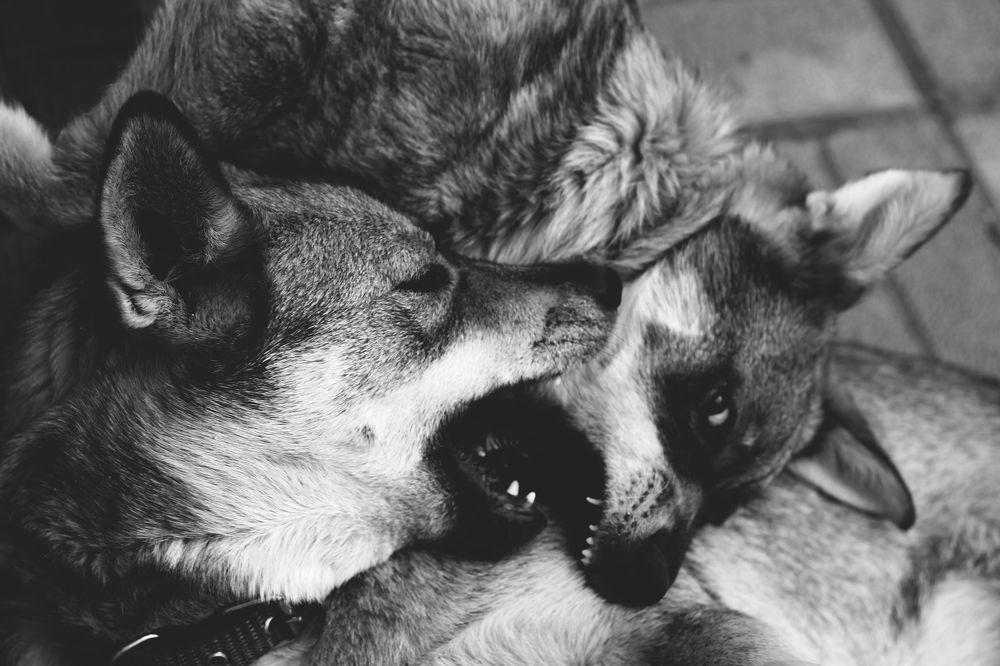 Photograph by Ирина Тушева