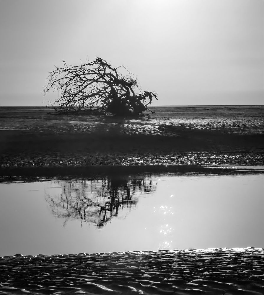 Фотография автора Michael Gault