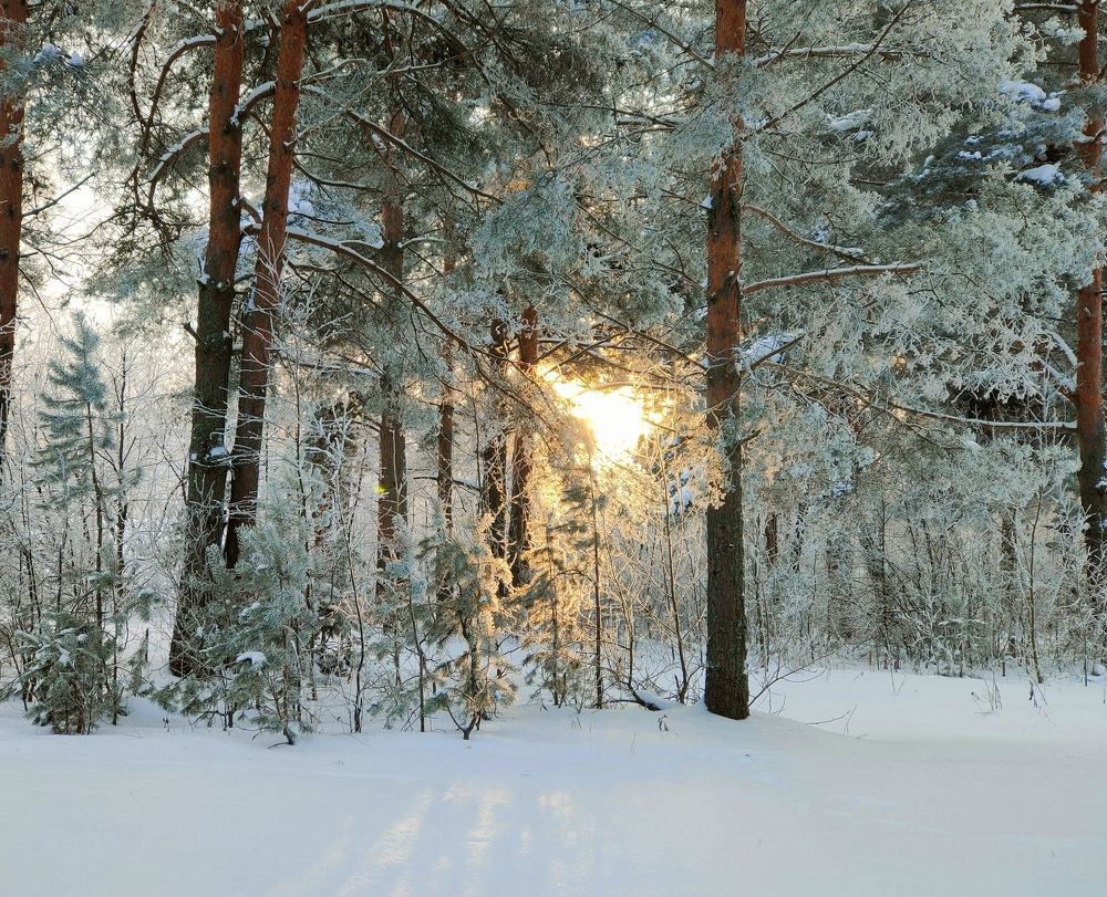 Photograph by Елена Верховская