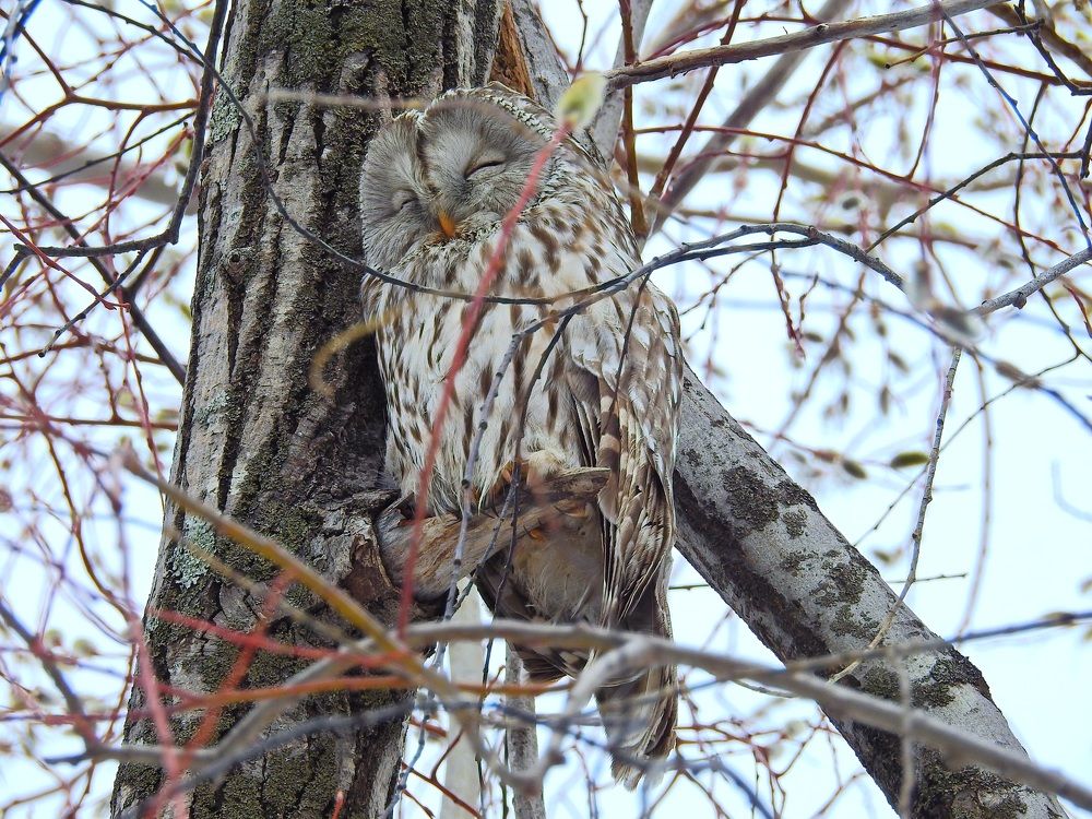 Photograph by Дмитрий Юдин