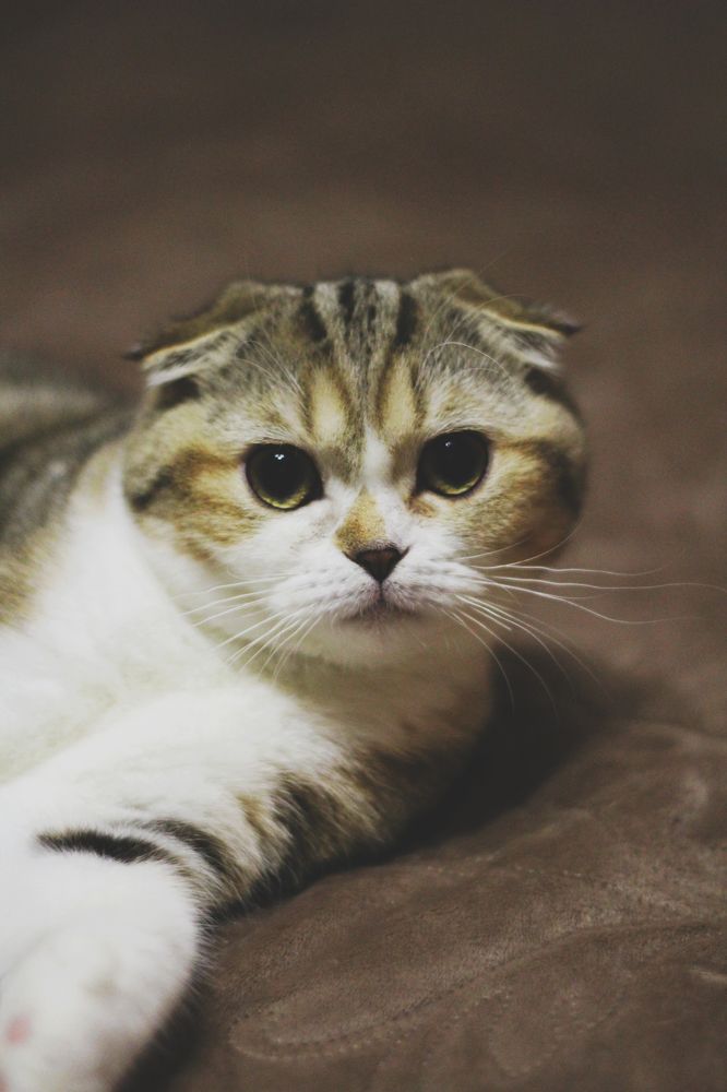 Photograph by Ирина Тушева