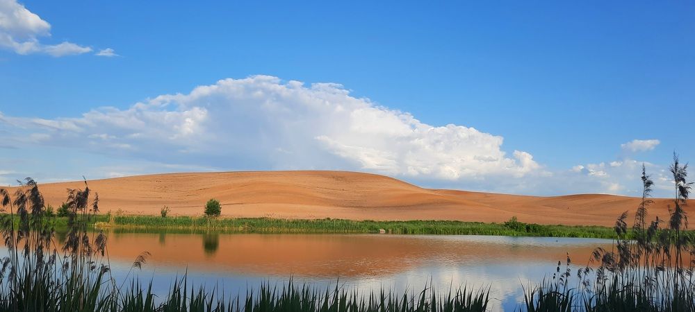 Photograph by Диана Бородзе