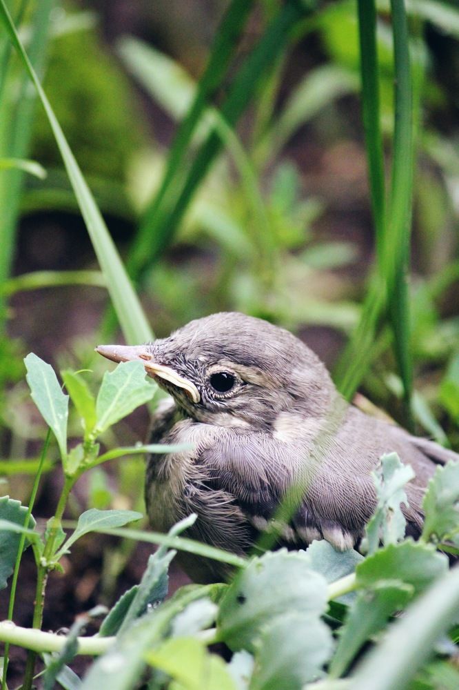 Photograph by Ирина Тушева