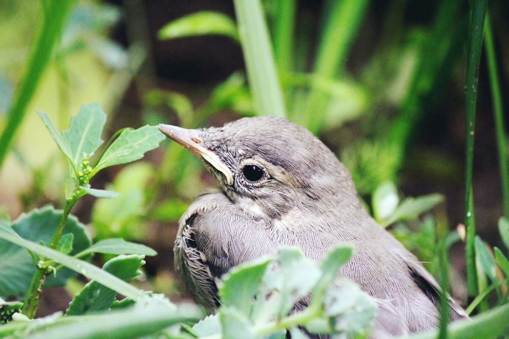 Photograph by Ирина Тушева