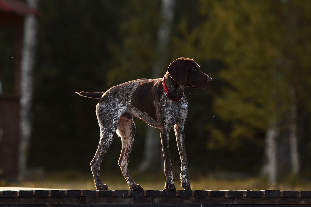 Photograph by Наталья