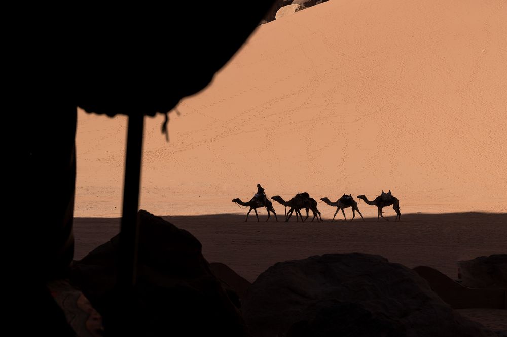 Photograph by Carlo Demicheli