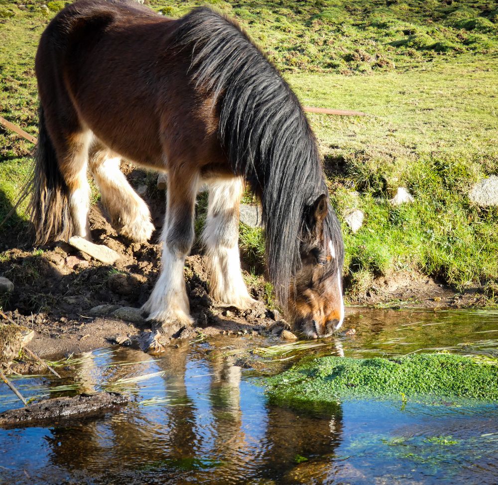 Фотография автора Michael Gault