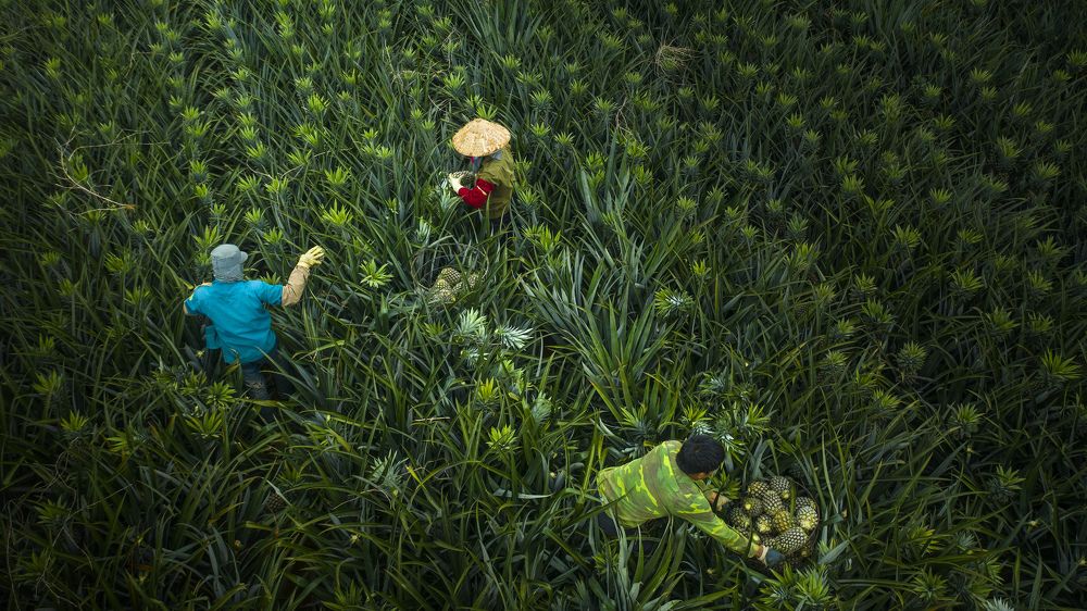 Photograph by Nguyễn Xuân Trường