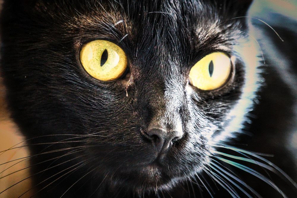 Photograph by Sandor Zoltan Gal