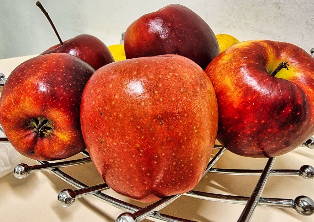 Photograph by Sandor Zoltan Gal