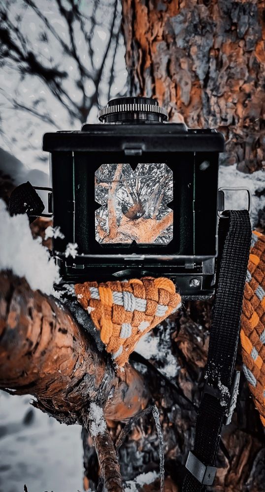 Photograph by Дарья Григорьева